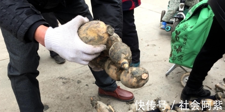 口感|买莲藕怎么区分“脆”和“糯”？卖菜大叔教我的方法，1招搞定