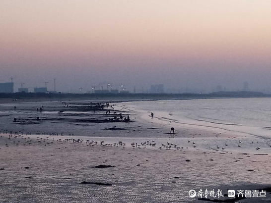 中年|情报站｜夕阳染红了烟台的海边，余晖布满海面惊艳游人