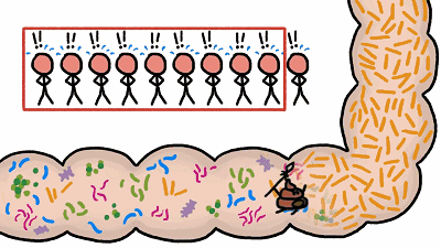 经常洗内脏,气血才两旺!老中医清洁处方,洗一洗,五脏都健康!
