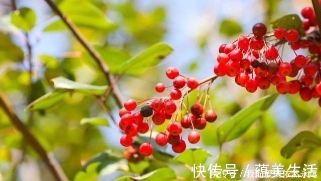 在你身边&15首最美七绝情诗,首首深情,爱你千千万万遍