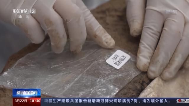 三星堆出土象牙如何保存？高分子材料为其“敷上面膜”