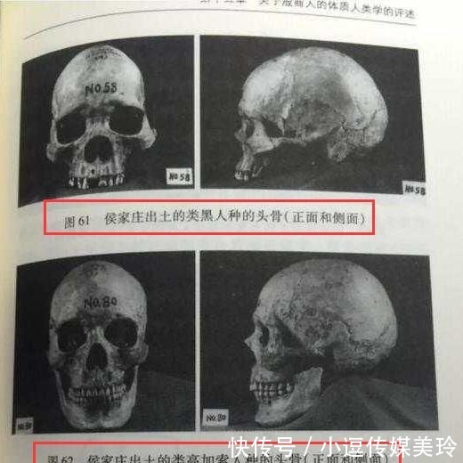 商人|华夏殷墟为何有白种人遗骸?考古一惊天发现,让西方咬牙无奈!