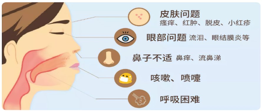 鼻息肉|别让过敏性鼻炎变成「全身病」！