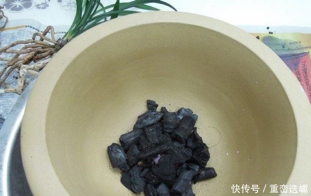 煤渣|捡点它垫在盆底,兰花养20年不烂根,盆栽兰花根肥壮撑爆盆