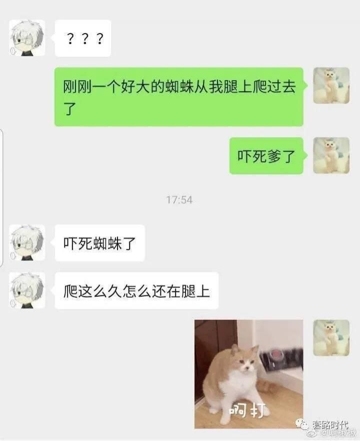 xswl|“你别过来，我怕猪，真是xswl了！” 哈哈哈......毫无求生欲