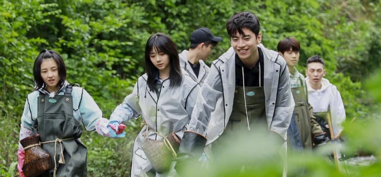 國家寶藏|被稱“零差評”的4部綜藝，《明偵》排倒數，第一名至今無法超越