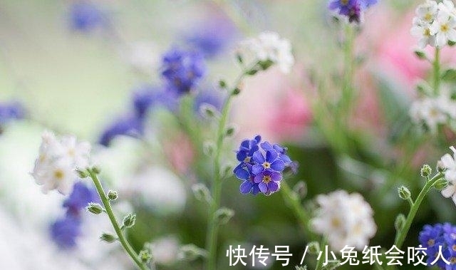 求饶|7月，旧爱求和，真情相守，3星座选择原谅，余生幸福牵手