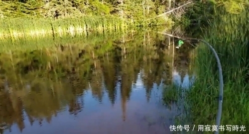 干净|水质干净,从里面钓到不认识的家伙,是黄鳝还是什么不敢取钩