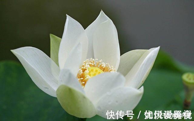 大昭寺@一位老僧的告诫，你经常说的话，就是你的人生预言，要慎重