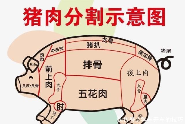  “买肉不买槽头肉，吃鱼不吃鲫壳鱼”啥意思