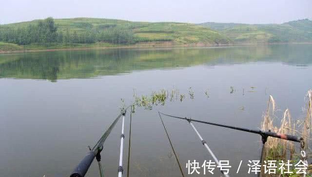 钓友们|不怕杂鱼闹,就怕它不到!没有小杂鱼闹窝的野钓更要找原因