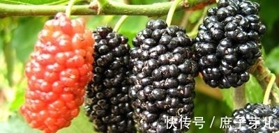 晚饭|不想30岁后被“色斑”困扰?把它们当“晚饭”,淡斑养颜还健康!