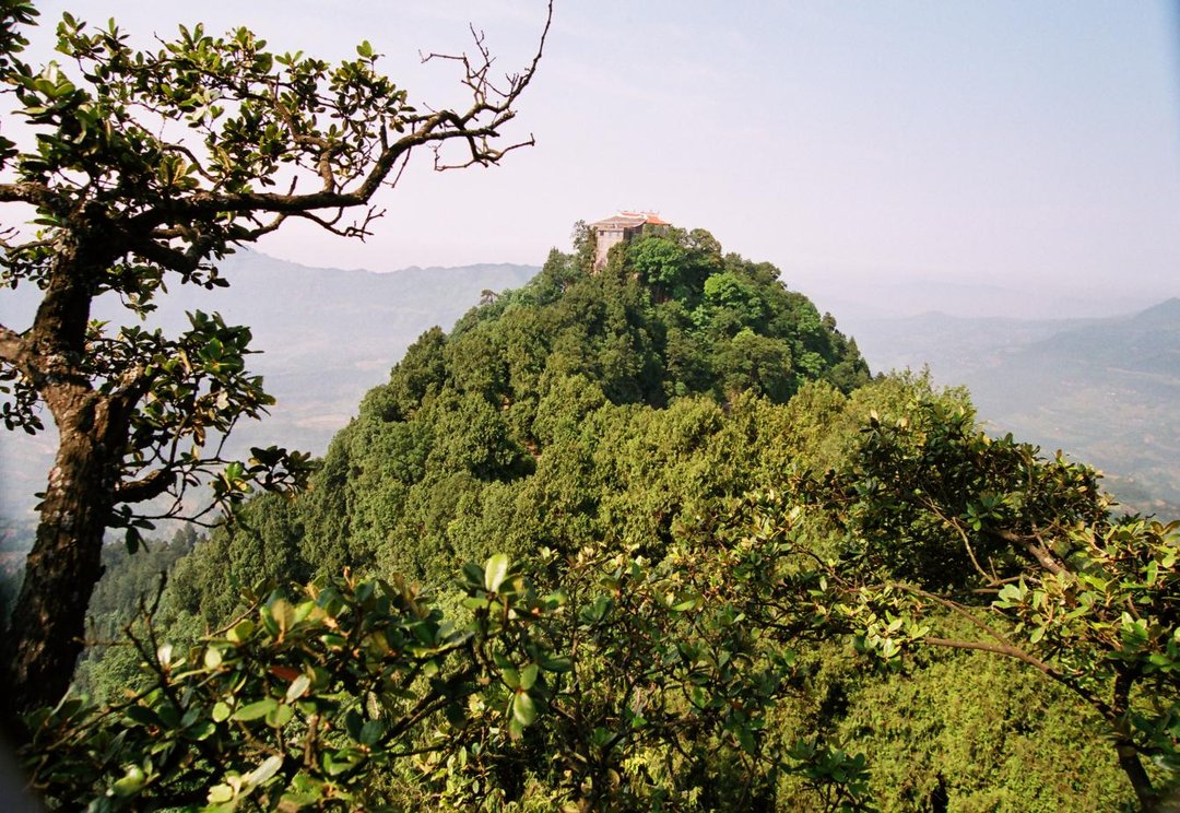 石碑|寻迹四川巴中灵山碑林：1983块书法石碑，让古树群也焕发文艺范