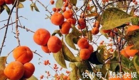 肠道|肠胃紊乱老便秘，需要常吃2种有“天然泻药”之称的食物，润肠道