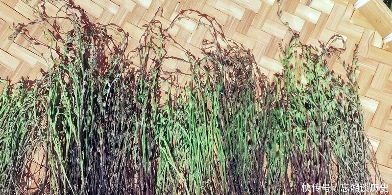 麦田一野草晒干2千元一斤,人称“草中黄金”,真有这么好