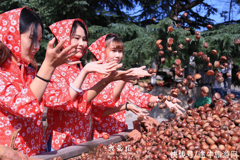 玻璃桥|落日余晖，一颦一笑染尽迷人秋色，遇见古老神秘之国—沂蒙山