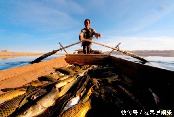 生命禁区论|中国最大沙漠其实有水有生命，推翻“生命禁区论”，美景鲜为人知