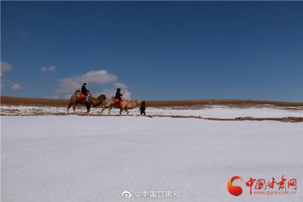 素裹|银装素裹 雪后敦煌景如画