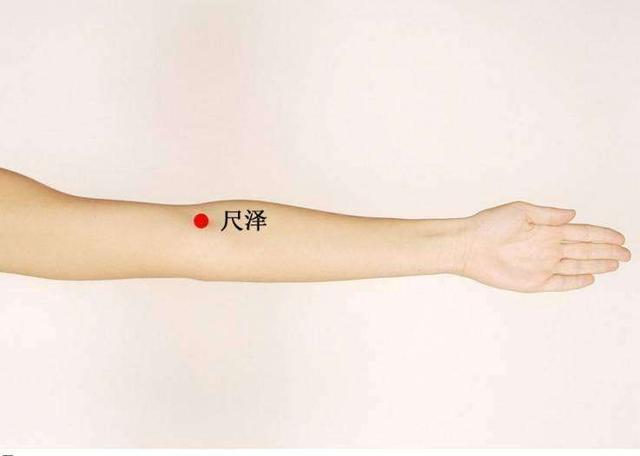 委中穴|我们身上自带的7个“祛湿点”，要多拍一拍，湿气一直不断被赶出