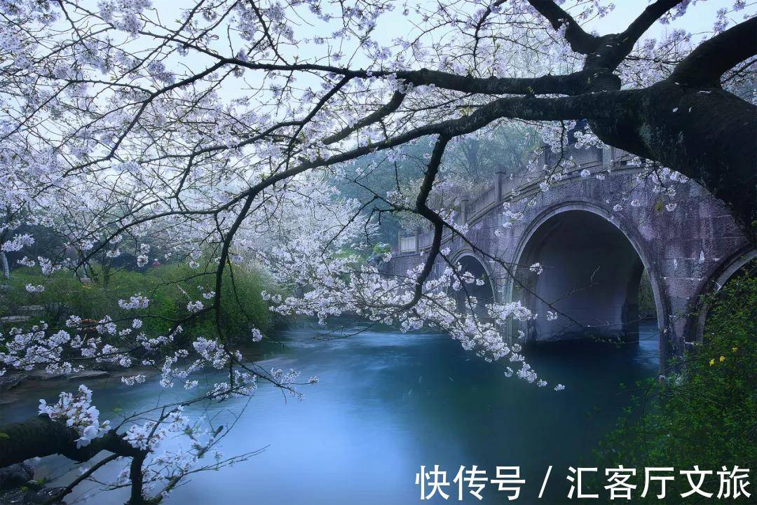 小火车|再过30天,世界又要被惊艳了!因为,中国的春天到了