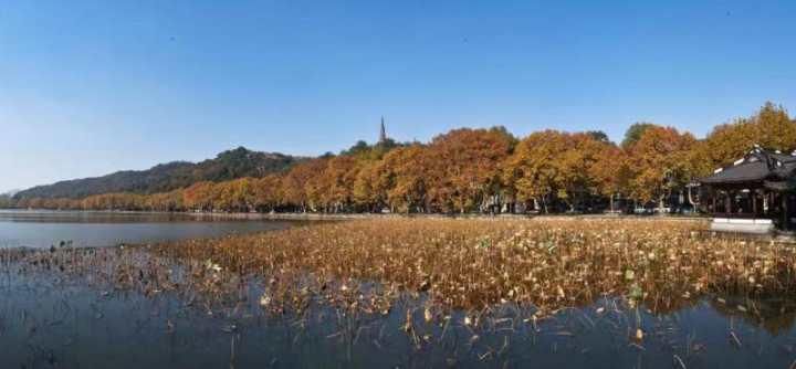 大年初一，西湖景区接待客流量22.4万人次，排名第一的景点是……