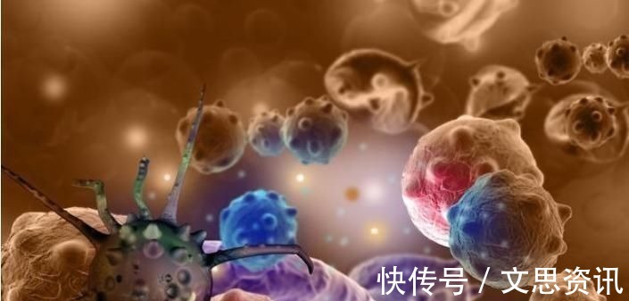 |沙雕动画，搞笑：校园最美的食堂，结果太闹心了