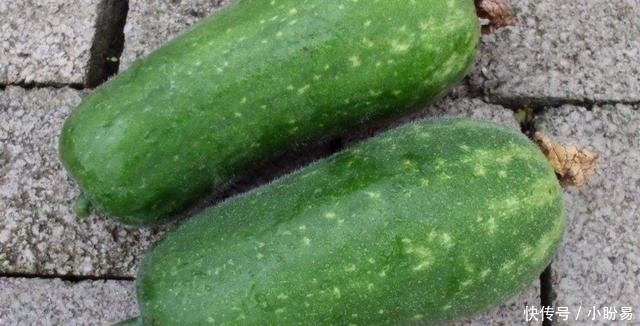 节瓜也能做出美味?分享5种节瓜的特色做法,简单美味好吃极了