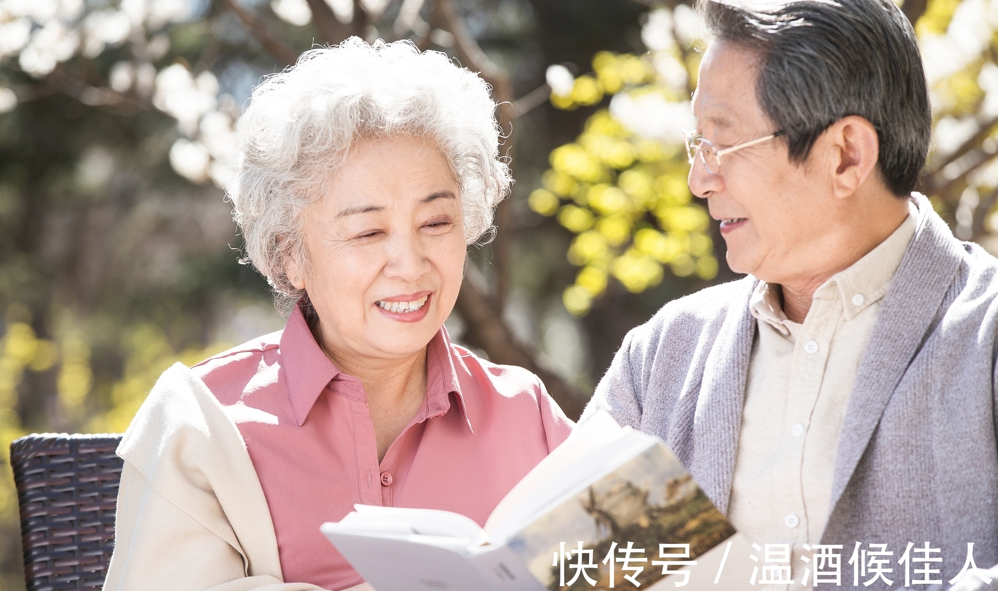 山哥|白岩松：读书，就是为读书而读书