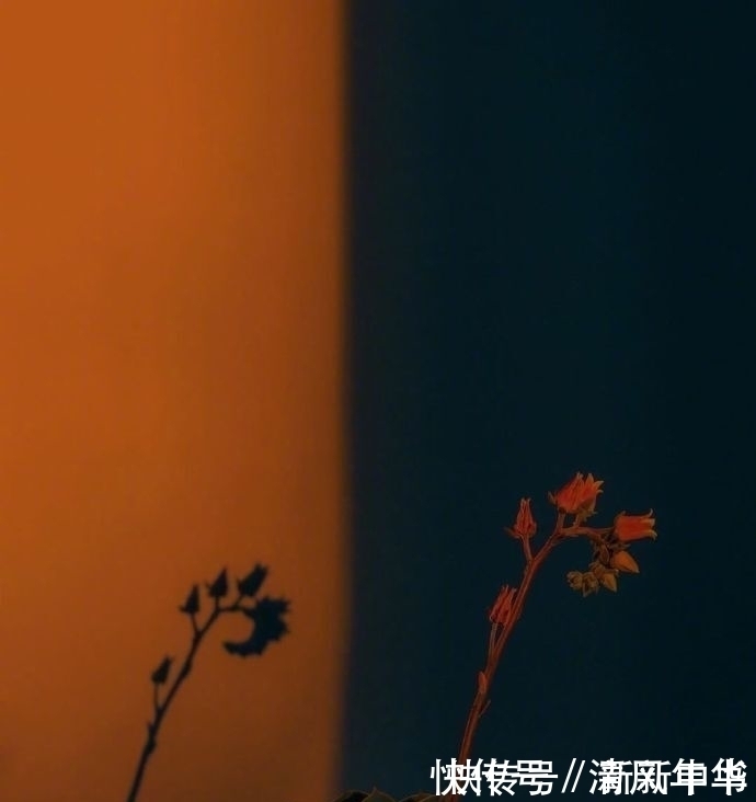 r神仙治愈系温柔句子,一定收藏起来慢慢看