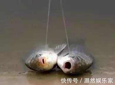 钓鱼|陌生水域钓鱼不要忙着下杆，这几件事你得先做好！