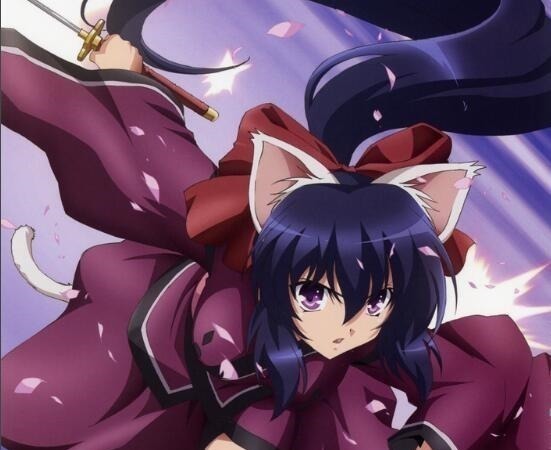 猫娘|二次元中具有猫耳属性的美少女(猫娘),你想要领养哪一只呢