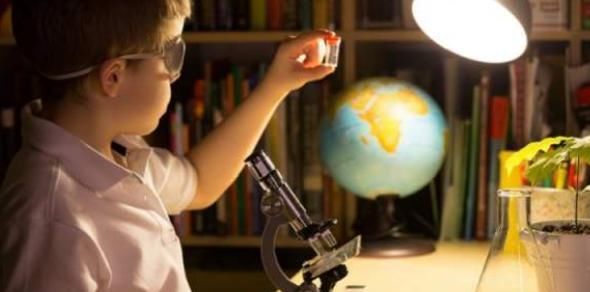 斯坦福教授:家里这3个地方越乱,孩子长大越聪明,家长别瞎勤快