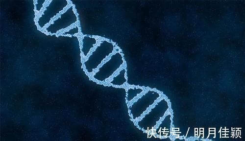 拆解|有这三个怪癖的孩子往往高智商,别扼杀天才,很多父母还傻傻纠正