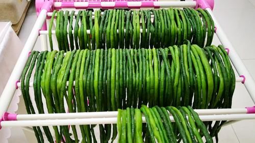 两相|立秋后，酱菜、腌菜两相宜，此10种蔬菜可以多酱晒一些，能吃一年