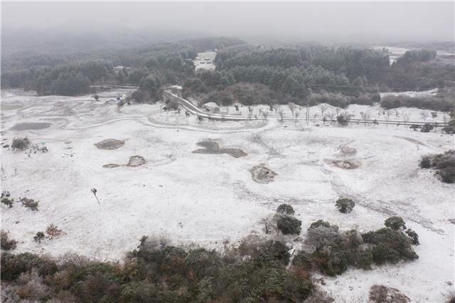 仙境|百里杜鹃，一下雪就美成仙境~