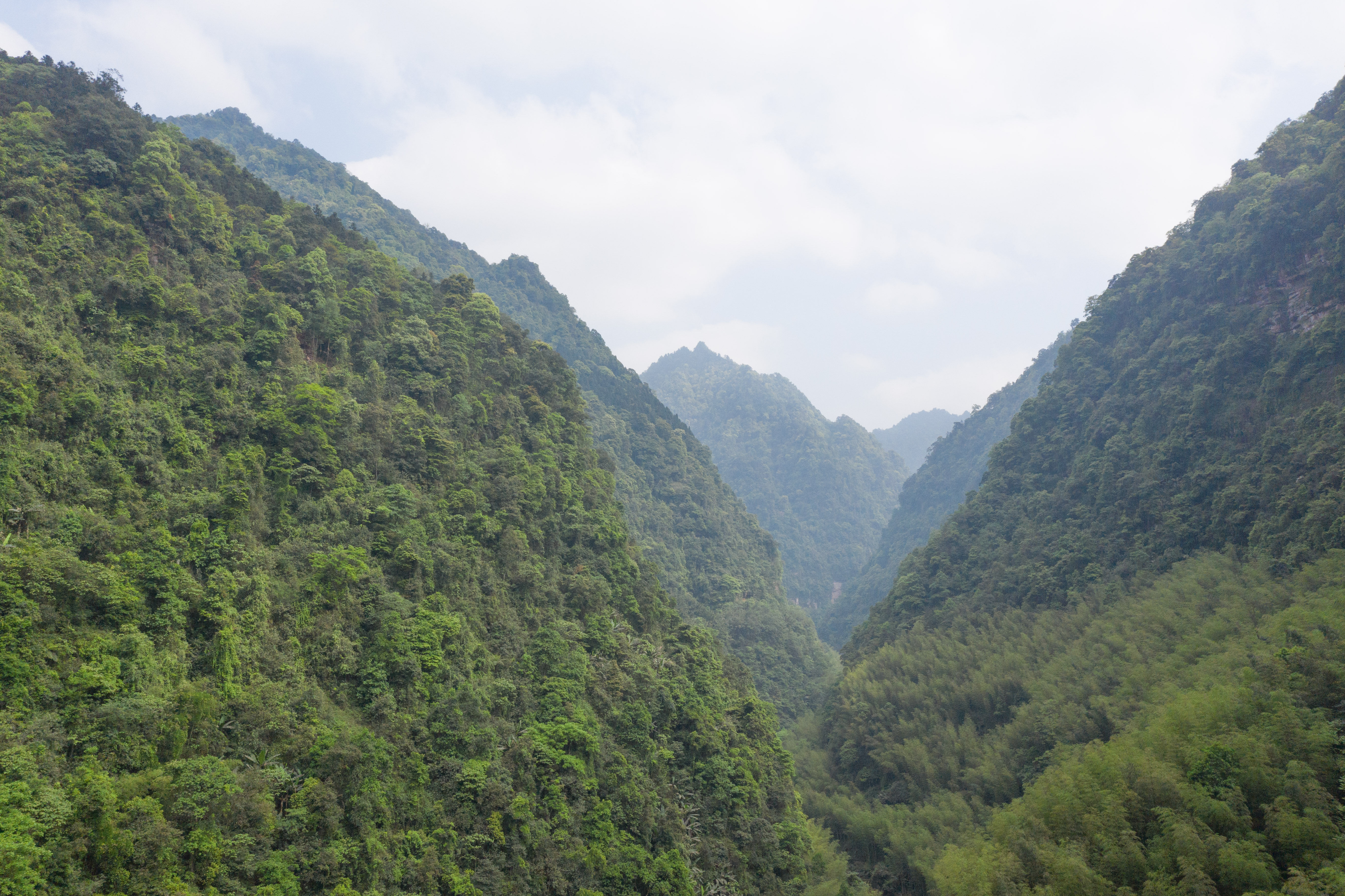 贵州北部之旅，近看三省奇迹