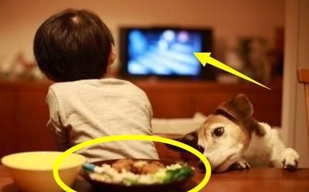 孩子“看电视”和“不看电视”,上小学智商差距明显!家长要重视