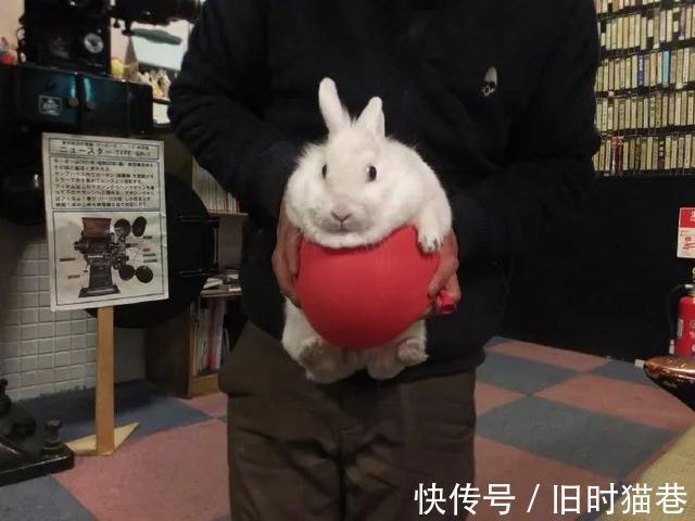 |医生好难，还要免费在线代做作业  冷段子1421 & 去年今日1111