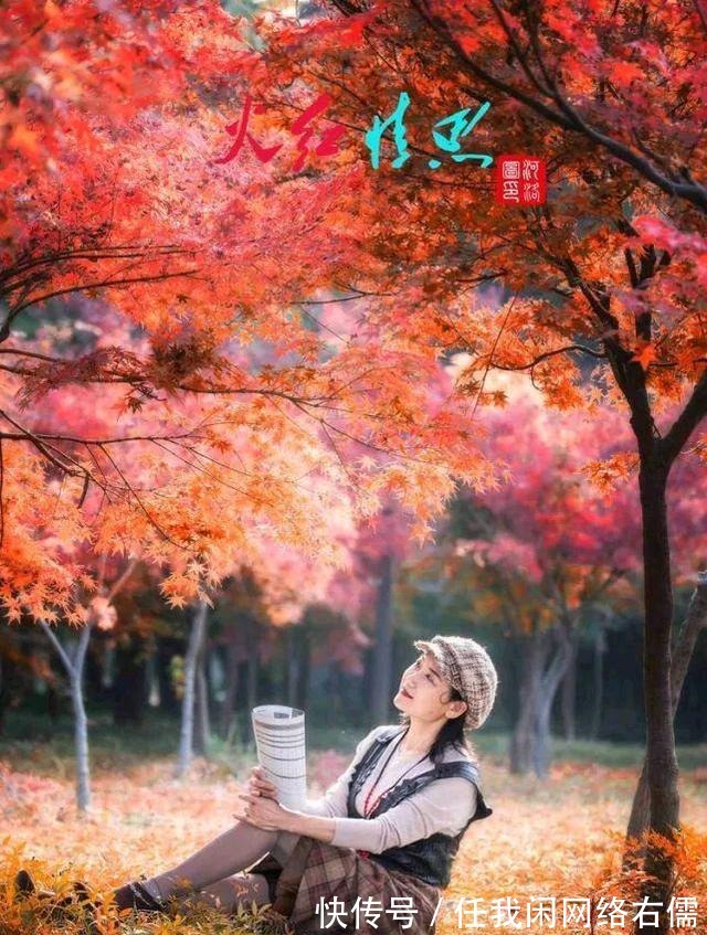 七律#律诗/七律《深秋之恋》