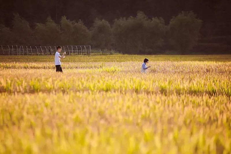 入秋|一入秋，安康就变成了金州！