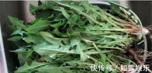 维生素b2|人到中年想长寿,可以坚持吃三种食物,补充营养,好处多多