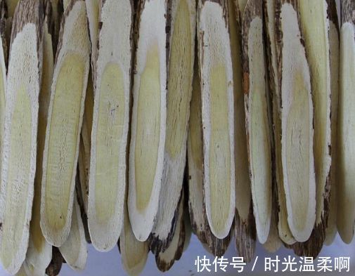 补气|黄芪补气第一，会吃才有效果，经常吃黄芪能给身体带来一些好处