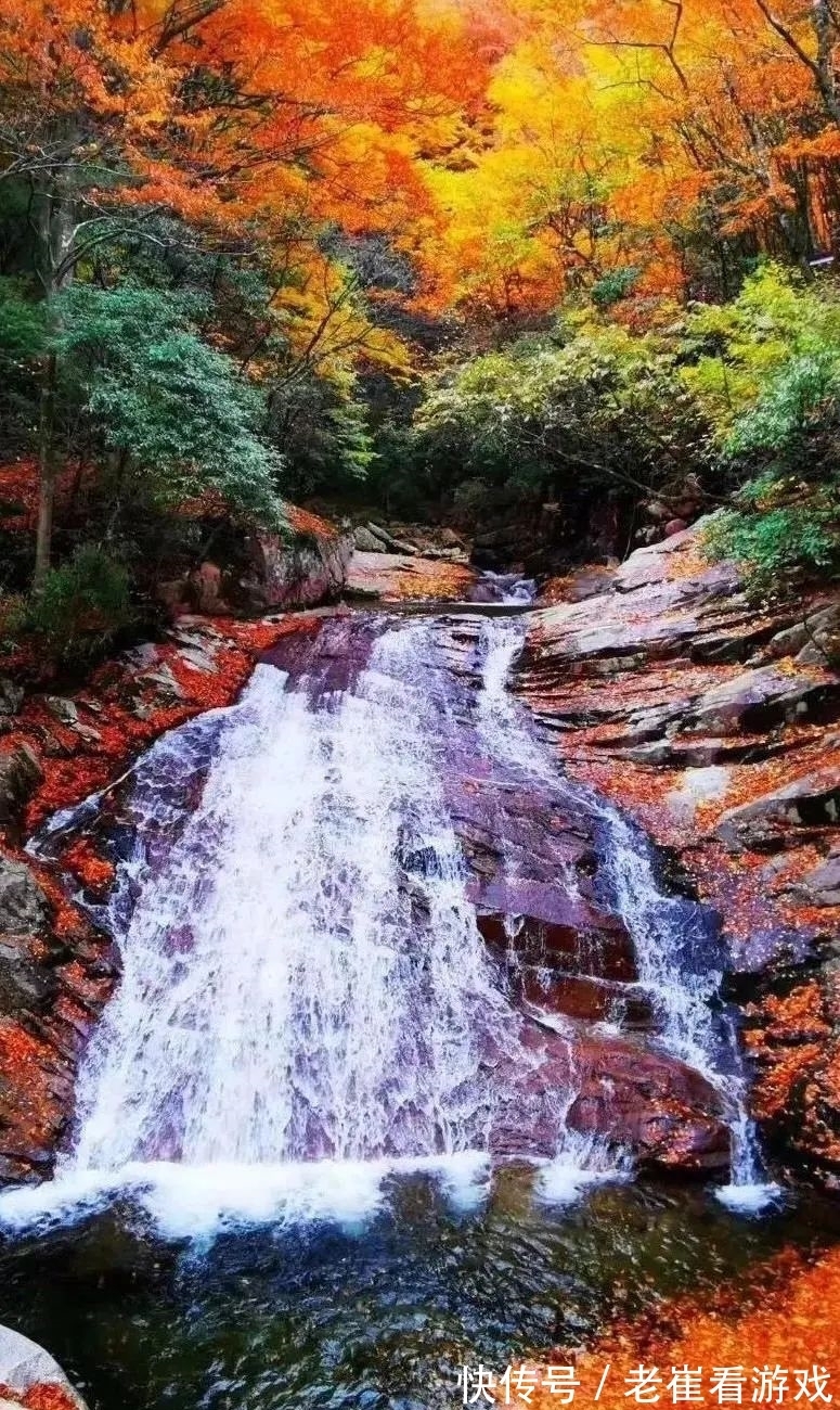 染红|赏红叶、拍美照、邂逅山间“精灵”，这地方只美一个月，速来