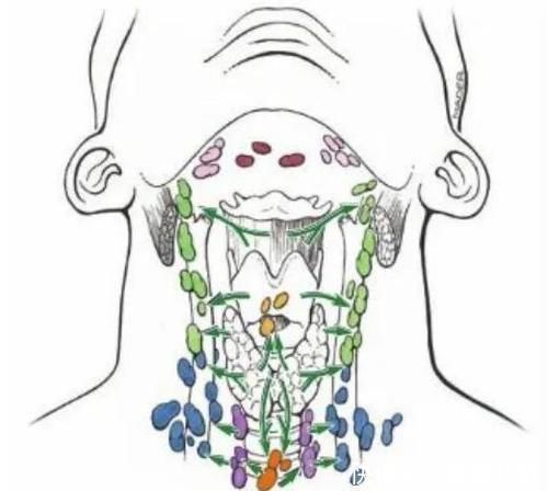 肿瘤|手术后癌症病人怎么知道肿瘤是不是切干净了？