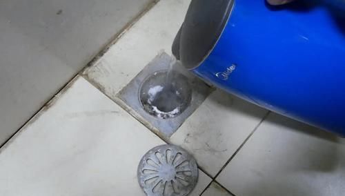 厕所有小飞虫教你1个简单方法,一辈子都再也没有小飞虫烦恼