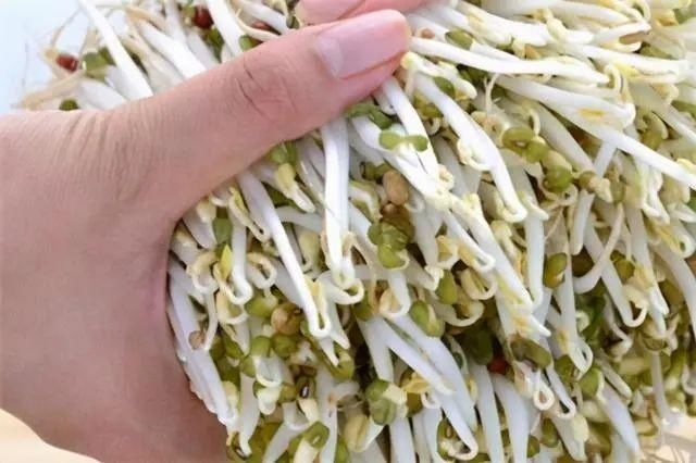 西葫芦|这8种蔬菜要少吃,建议日常减少食用量,身体健康很重要!