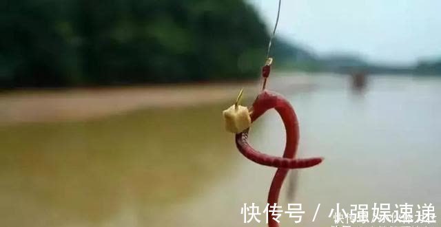 矿泉水瓶|蚯蚓饵真的是万能的吗?看过这些才能让蚯蚓饵真正成为钓鱼法宝