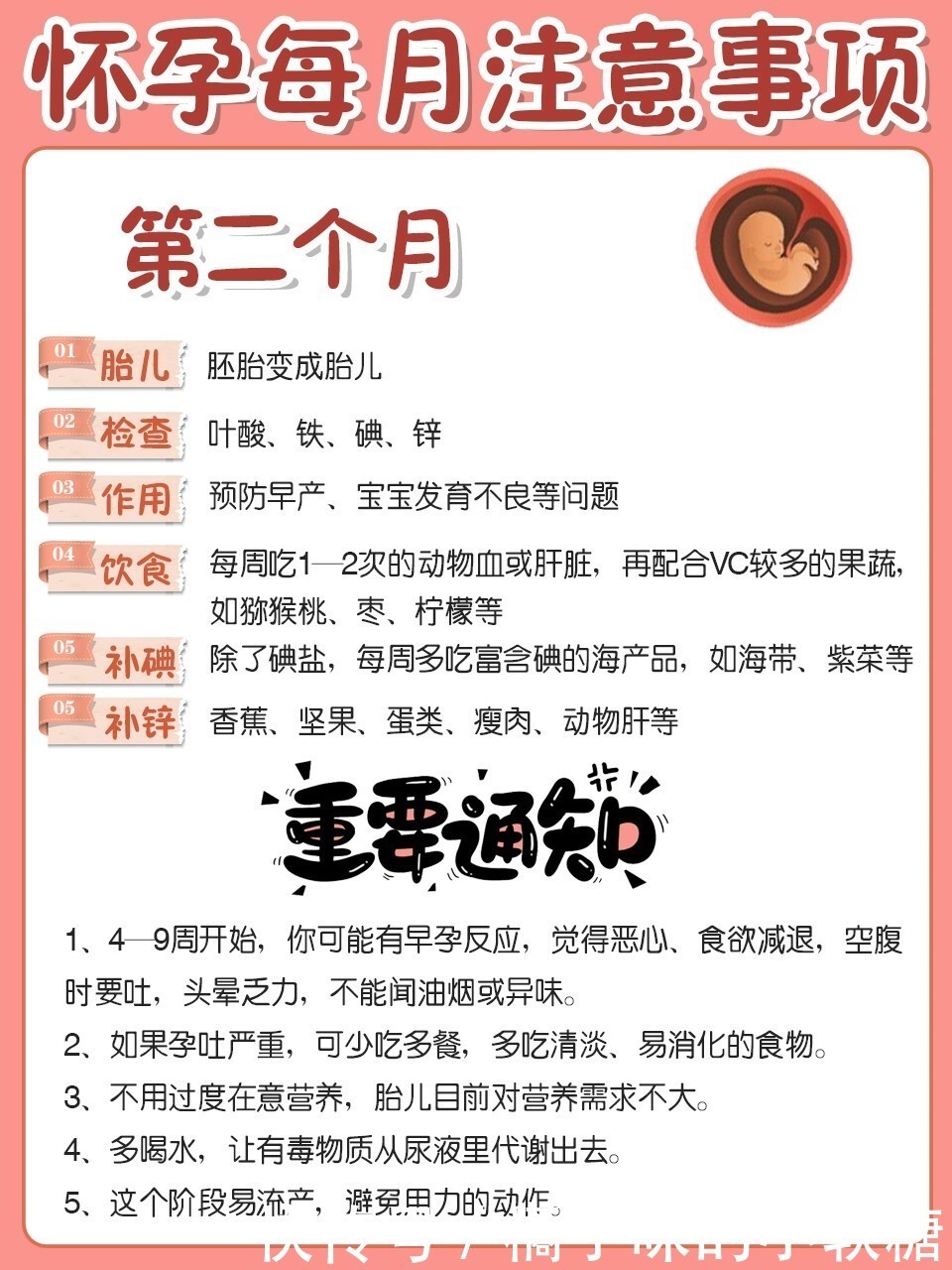 怀孕后每个月要注意什么？教你安心度过孕期