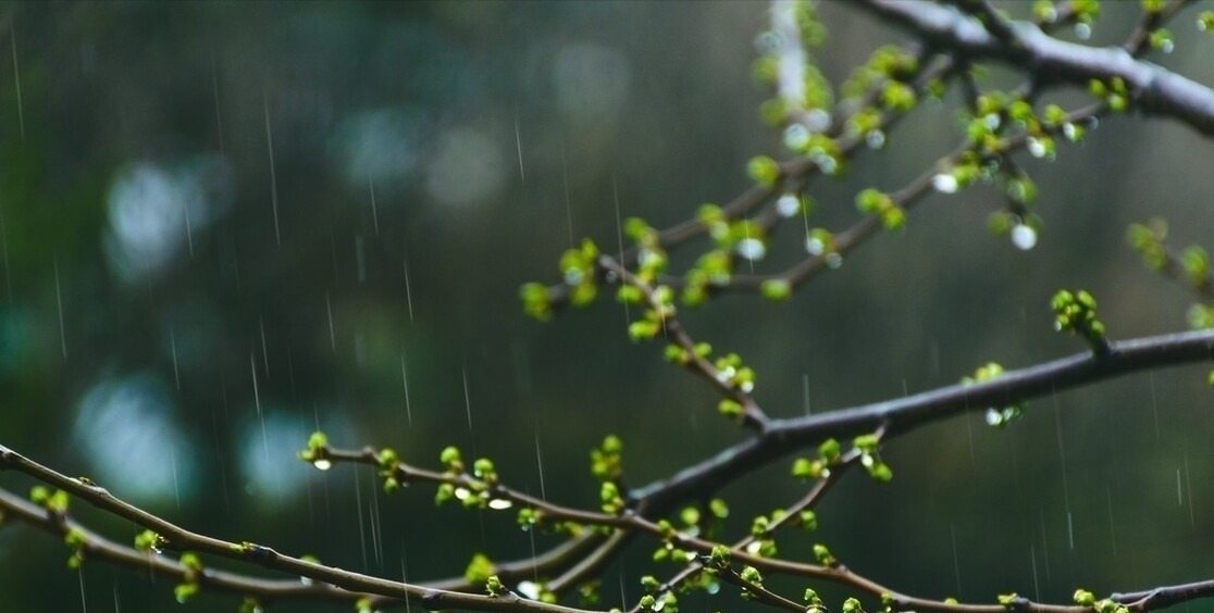 幽默&杨万里在小雨中写的一首诗，幽默风趣，把自然之美写得无以伦比