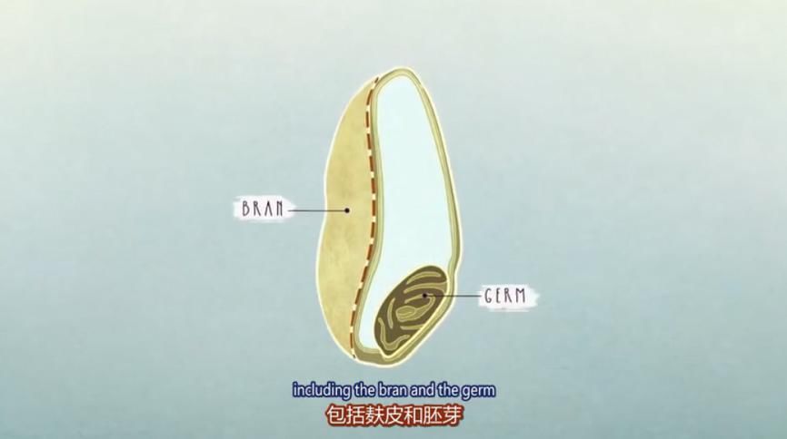 陷入|在教育上，我们就这样一步步陷入了贫困陷阱